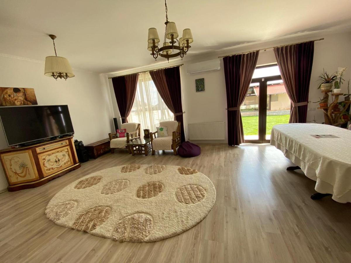 Sia & Sophie 'S House Villa Sîntandrei Екстериор снимка