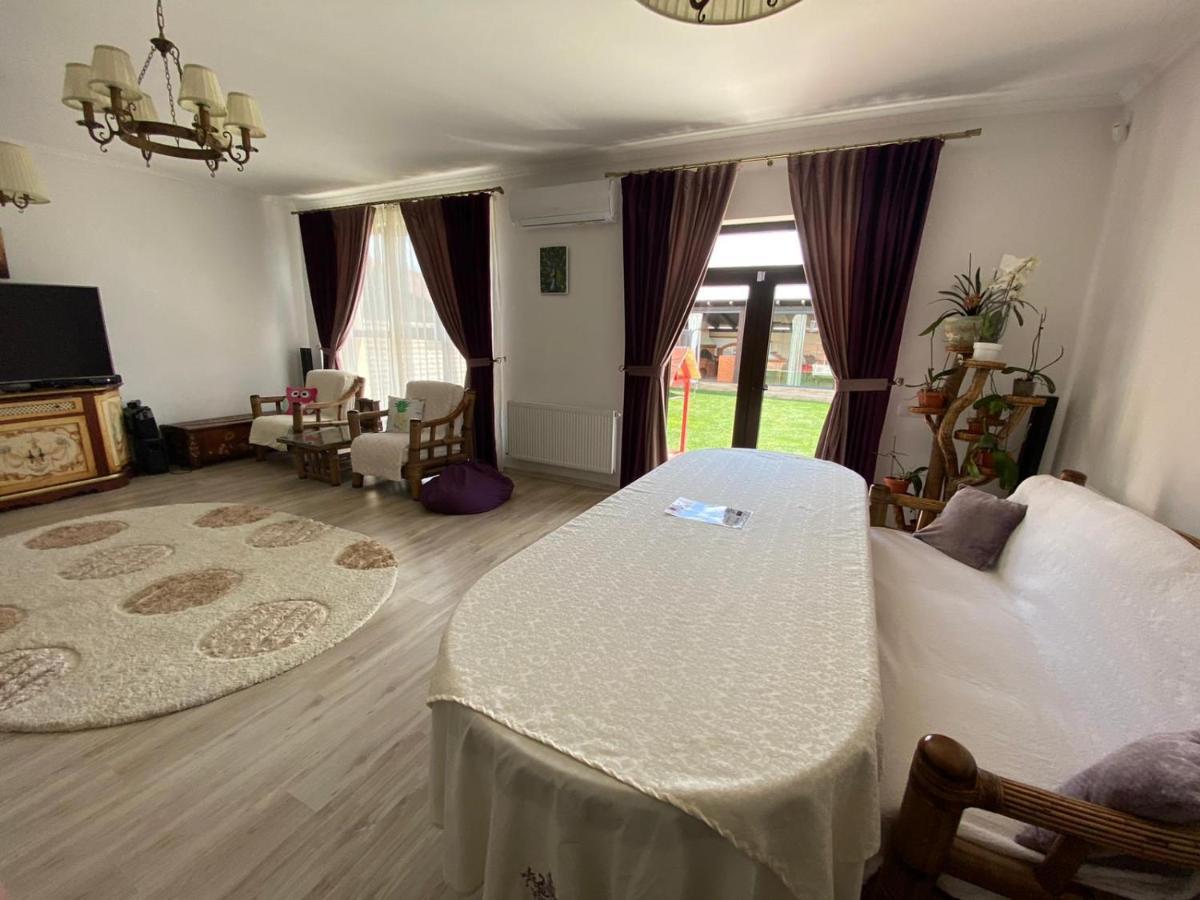 Sia & Sophie 'S House Villa Sîntandrei Екстериор снимка