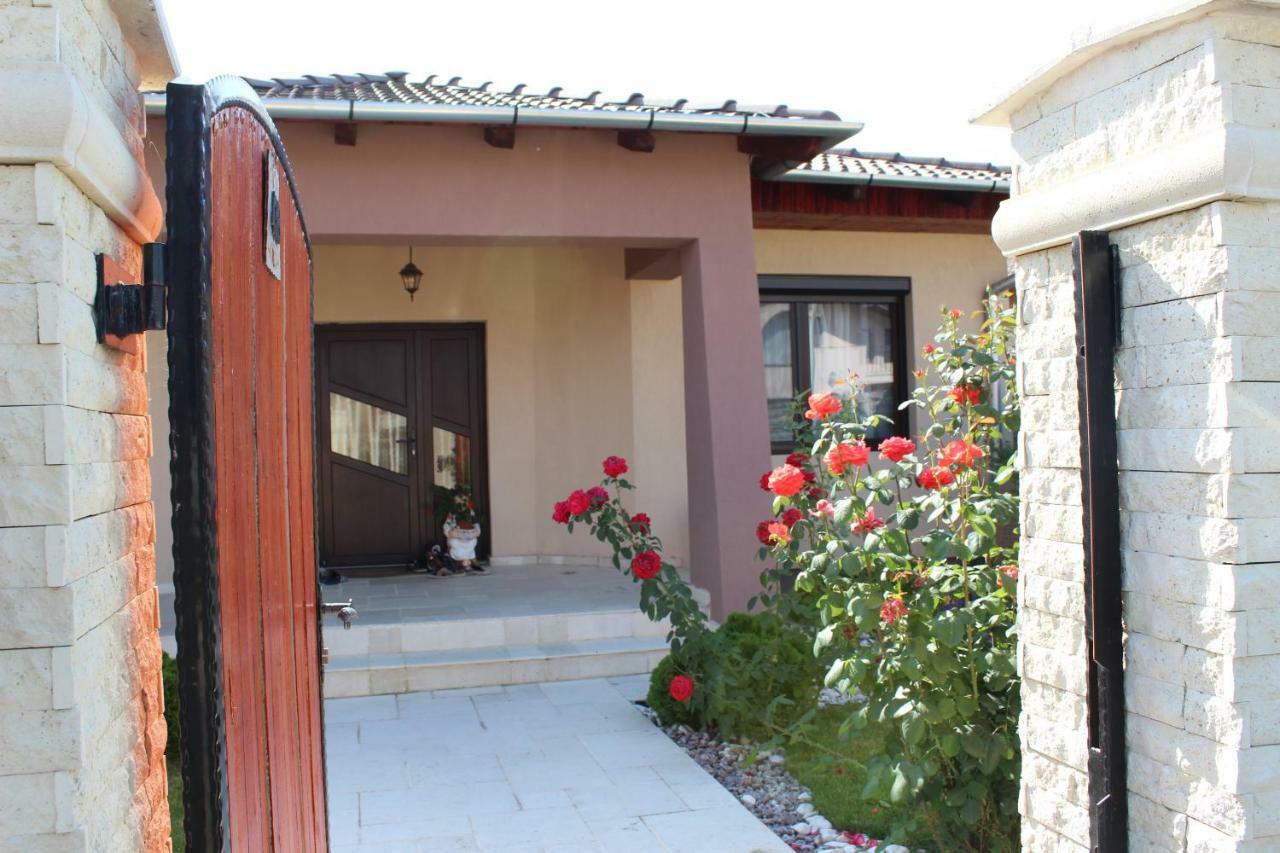 Sia & Sophie 'S House Villa Sîntandrei Екстериор снимка